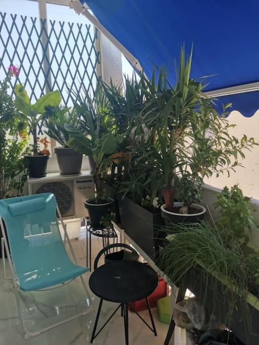 Apartment Marina Dream Toulon